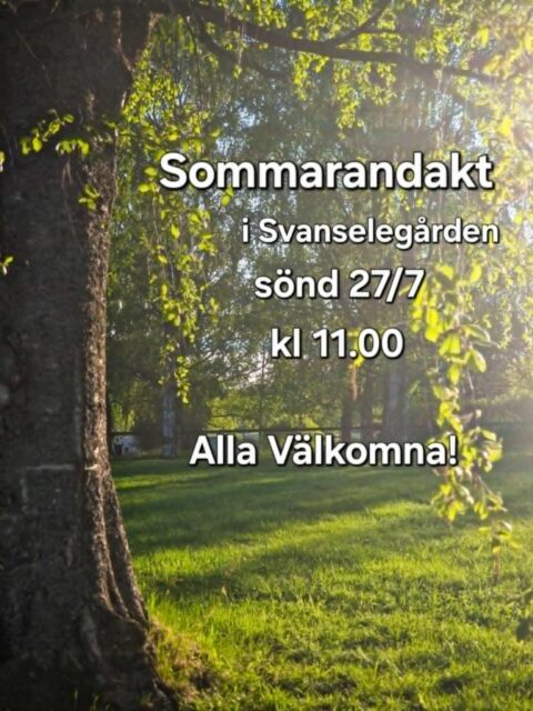 Utflykt till Andakt i Svanselegården, Svansele!