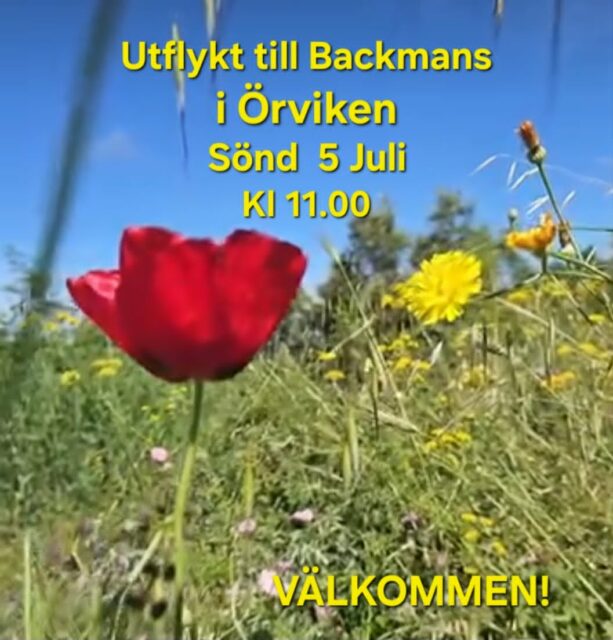 Sommarandakt i Örviken