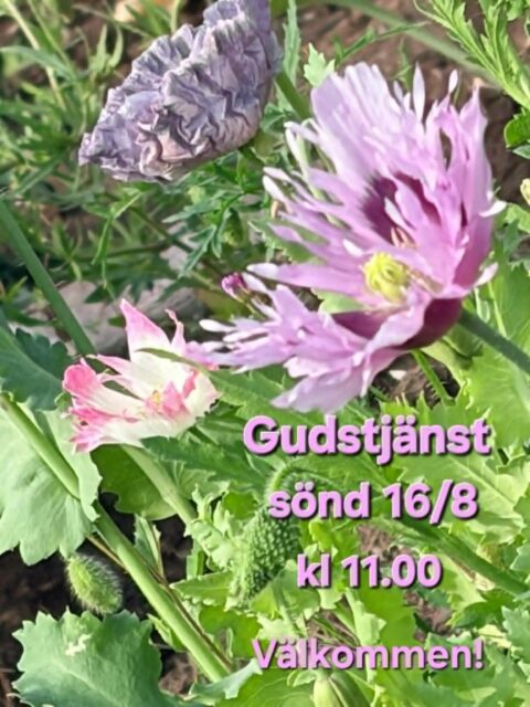 Gudstjänst