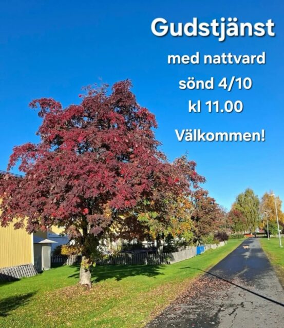 Gudstjänst med nattvard